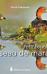 Petit bouchon, un oiseau de marais