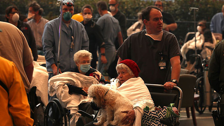 Un chien et son maître hospitalisé. © GETTY IMAGES/ JUSTIN SULLIVAN 