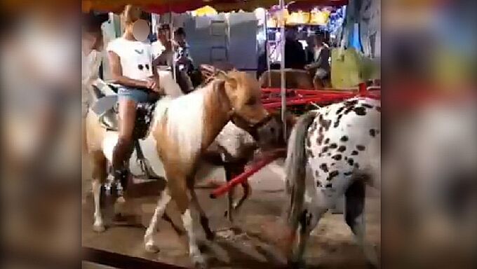 Scandale des manèges à poneys, signez la pétition !