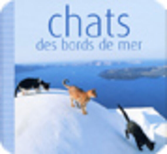 Chats de bords de mer