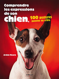 Comprendre les expressions de son chien