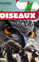 Oiseaux