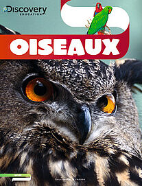 Oiseaux