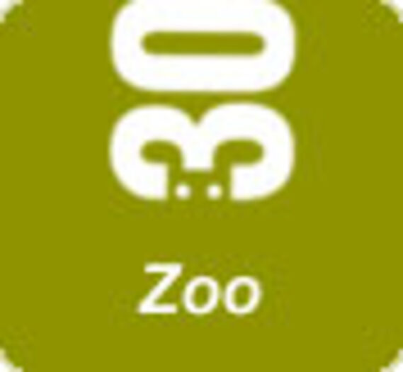 Mort de l'unique éléphant du zoo de Kiev : un empoisonnement soupçonné