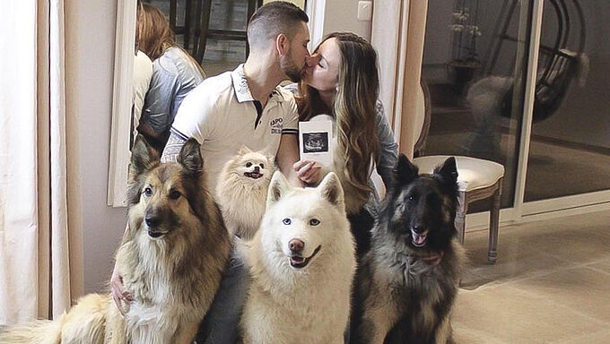 Sauvé de la maltraitance, ce Husky choisit sa nouvelle famille