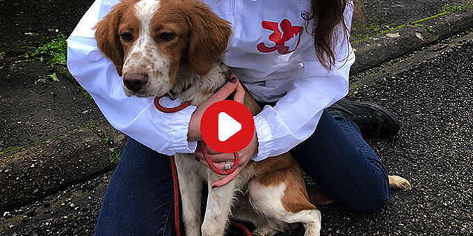 Près d’une centaine d’animaux sauvés à Dax par la Fondation 30 Millions d’Amis