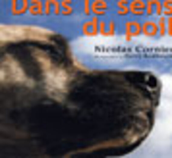 cd pour chats et chiens