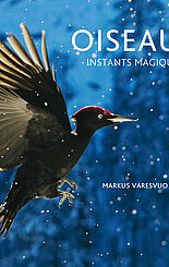 Oiseaux instants magiques