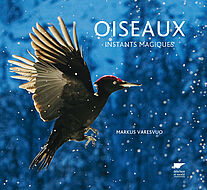 Oiseaux instants magiques