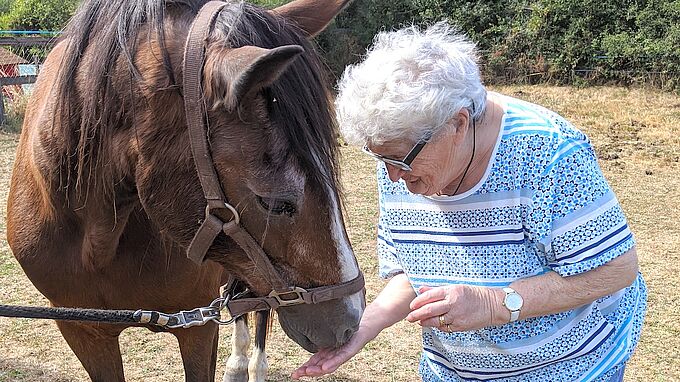 L'émouvant « legs » d'une grand-mère amoureuse des animaux