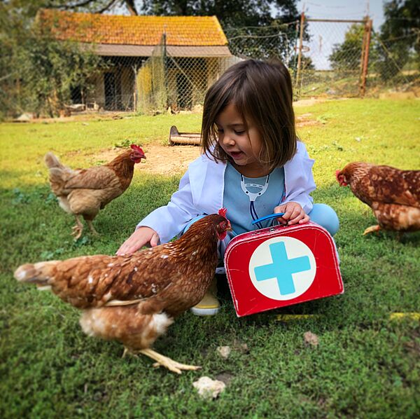 Avec 4€ vous pouvez sauver la vie d'une poule ce samedi à Blanzy-lès-Fismes