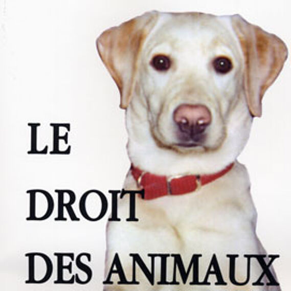 Illustration du livre Le droit des animaux