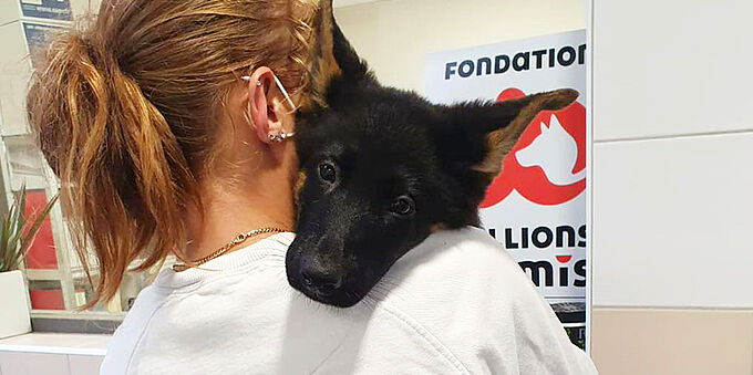 Le refuge 30 Millions d'Amis accueille 7 nouveaux pensionnaires issus de sauvetages. Découvrez leur histoire !