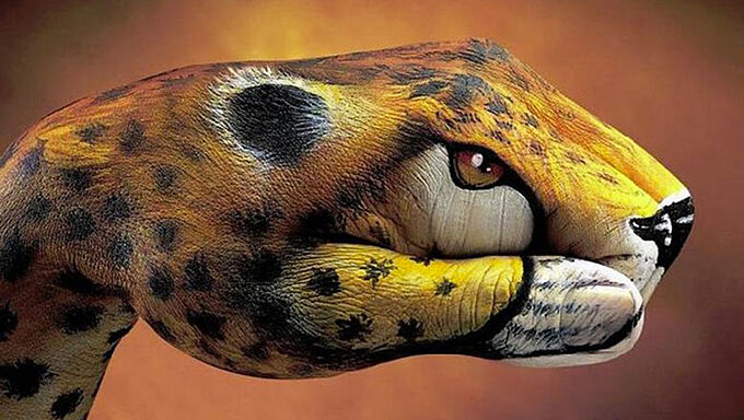 Le sort des animaux est entre nos mains, faisons-le savoir !