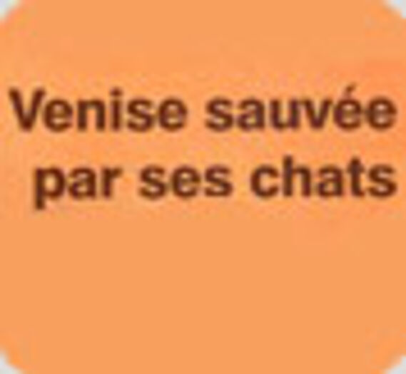 Venise sauvée par ses chats, Robert de Laroche, Editions La Tour Verte