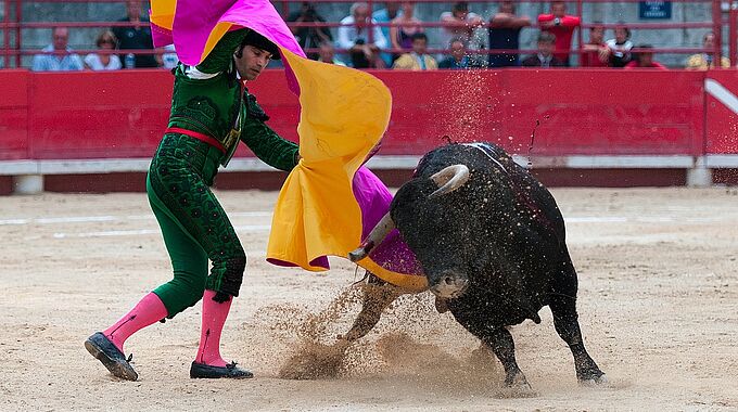Partout dans le monde, la corrida se meurt ! A quand son interdiction ?