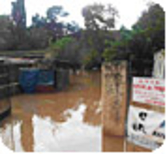 La Fondation mobilisée après les inondations dans le sud de la France