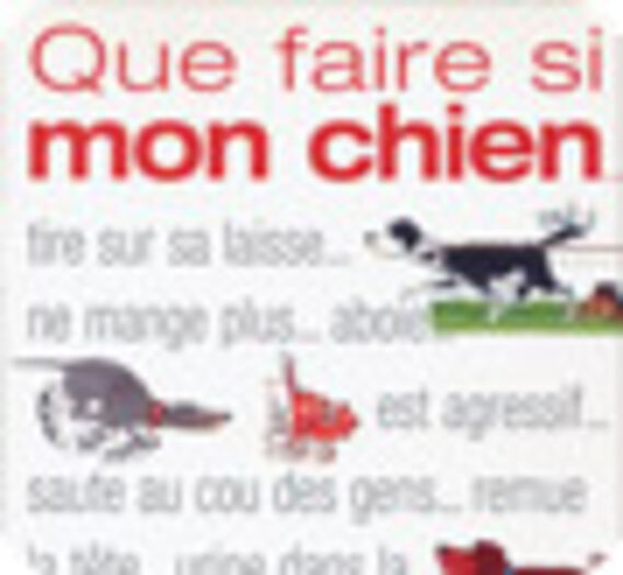 Que faire si mon chien...