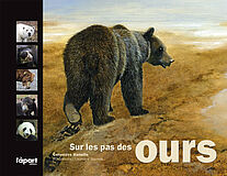 Sur les pas des ours