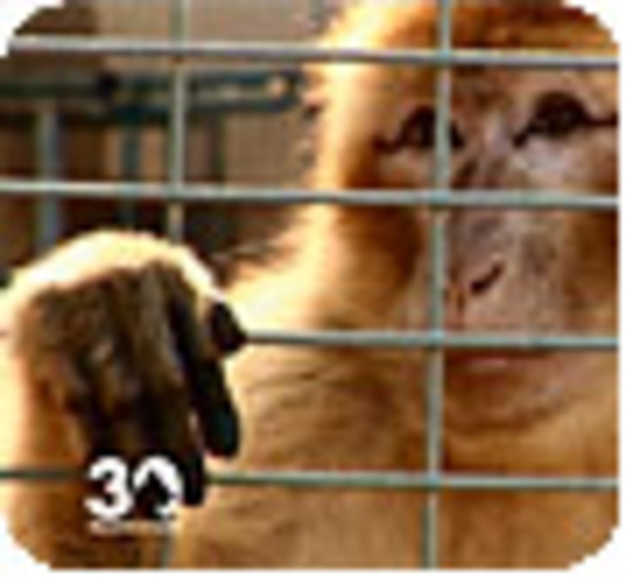 Reportage exclusif au zoo de Tripoli