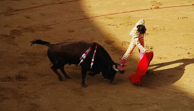 La sinistre réalité de la corrida aux Fêtes de Bayonne