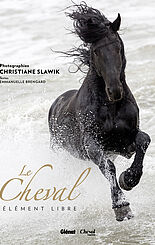 Cheval, élément libre