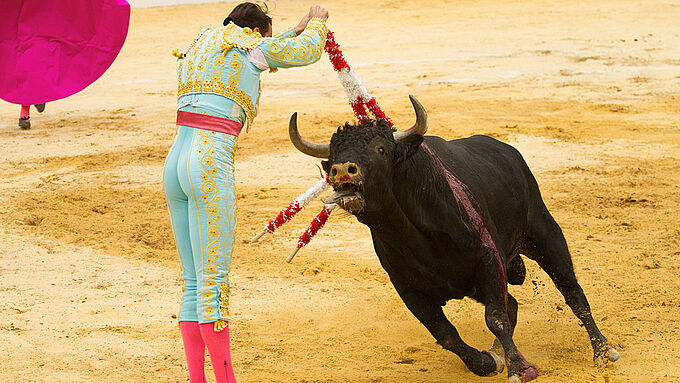 Abolition de la corrida : la proposition de loi sabordée ? Pas si sûr !