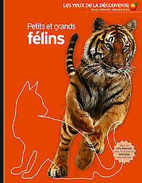 Petits et grands félins