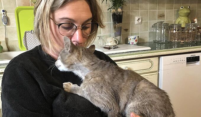 Cette chatte traverse la moitié de la France pour retrouver son domicile