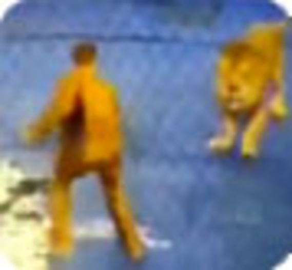 Un dompteur attaqué par ses lions (Vidéo)