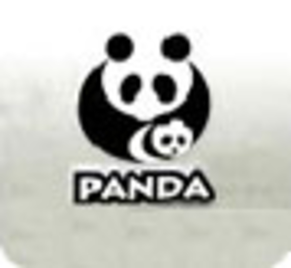 En Chine, un Français devient "ambassadeur" du panda géant