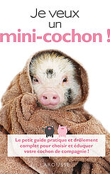 Je veux un mini-cochon !