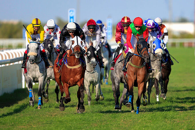 Trois chevaux sont morts sur l’hippodrome du Mans