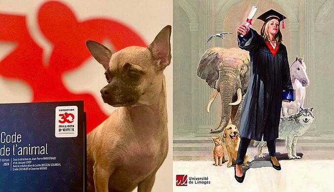 DU de droit animalier en partenariat avec la Fondation 30 Millions d'Amis : inscriptions ouvertes !