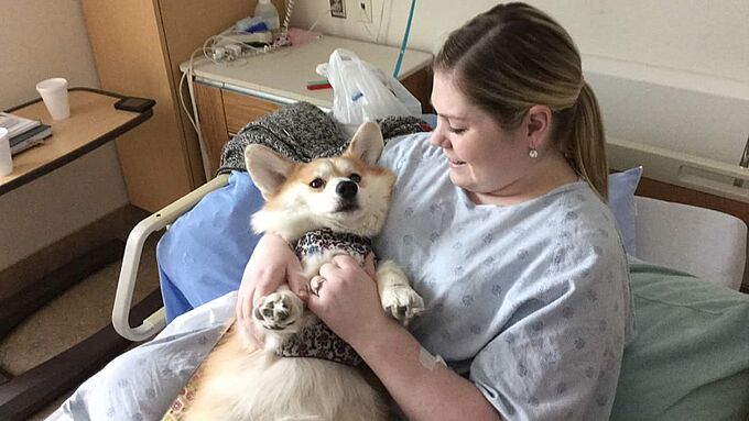 Dans cet hôpital canadien, les animaux accompagnent les patients