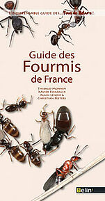 Guide des fourmis de France