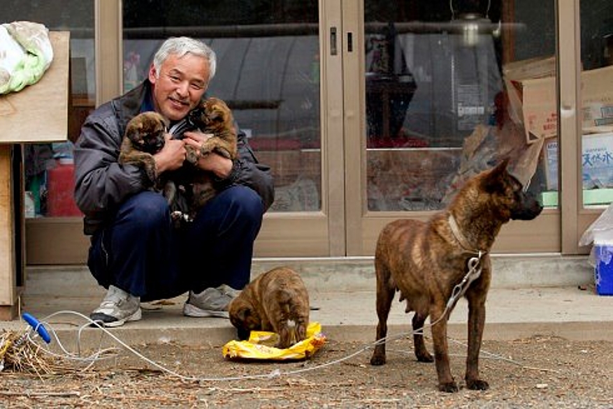 Naoto est entouré de chiens © Facebook Naoto Matsumura