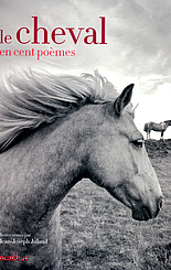 Le cheval en cent poèmes