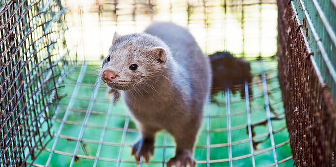 Les bonnes résolutions que doit prendre le gouvernement en 2021