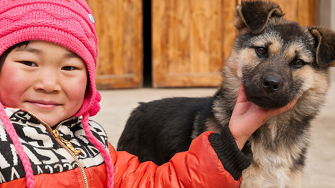 Fin de la consommation de chiens et chats dans 2 grandes villes chinoises. On avance...