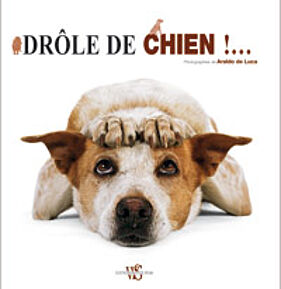 Drôle de chien !