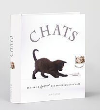 Chats