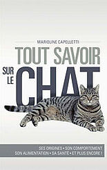 Tout savoir sur le chat