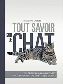 Tout savoir sur le chat