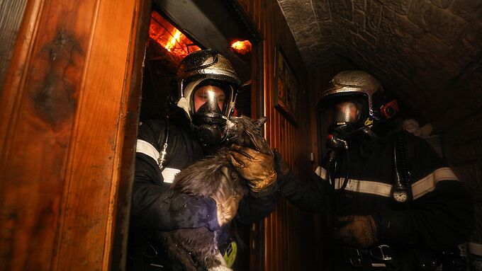 Les sapeurs-pompiers de l’Oise sauvent 2 chats d’une maison en flammes
