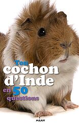 Ton cochon d'Inde en 50 questions