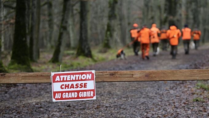 Une écrasante majorité de Français pour la limitation de la chasse, y compris chez les électeurs d’E. Macron et en milieu rural !
