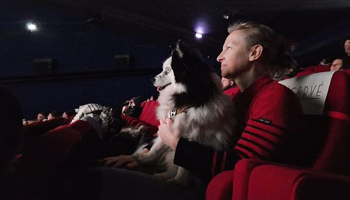 Aller au cinéma avec son chien !