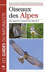 Oiseaux des Alpes