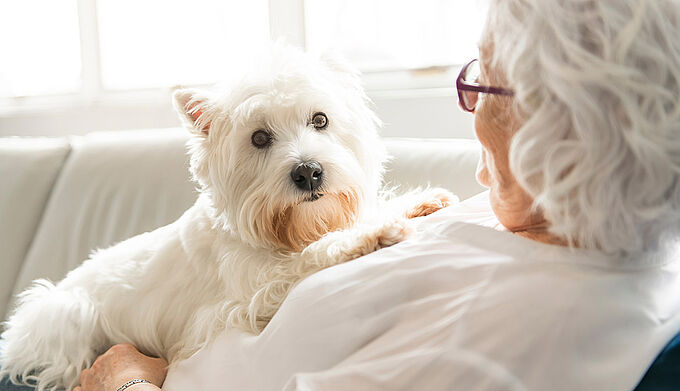 Les animaux de compagnie (enfin) admis en Ehpad ? 